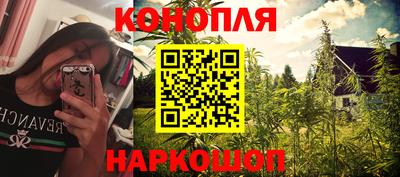 прущие грибы Малгобек